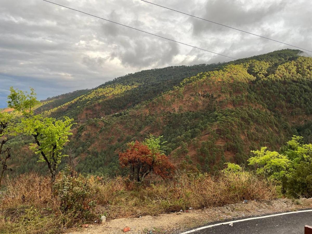 Pahaadi Dhun Homestay Chamba  Buitenkant foto